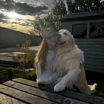 Rupert the golden retriever